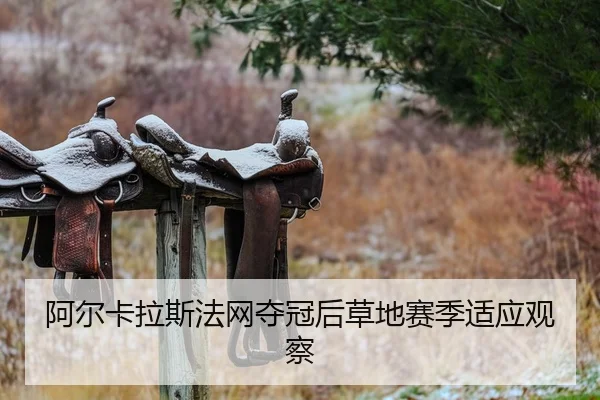a-er-ka-la-si-fa-wang-duo-guan-hou-cao-di-sai-ji-shi-ying-guan-cha-2-597.jpg