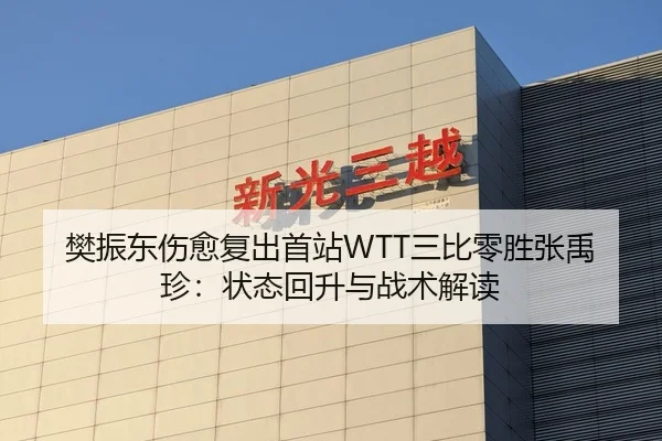 樊振东伤愈复出首站WTT三比零胜张禹珍：状态回升与战术解读