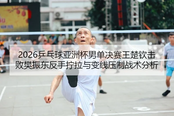 2026乒乓球亚洲杯男单决赛王楚钦击败樊振东反手拧拉与变线压制战术分析