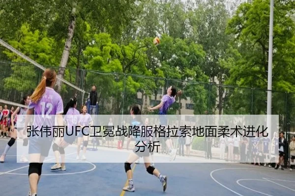 zhang-wei-li-wei-mian-zhan-xiang-fu-ge-la-suo-di-mian-rou-shu-jin-hua-fen-xi-3-284.jpg