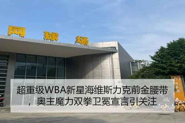 超重级WBA新星海维斯力克前金腰带，奥主魔力双拳卫冕宣言引关注